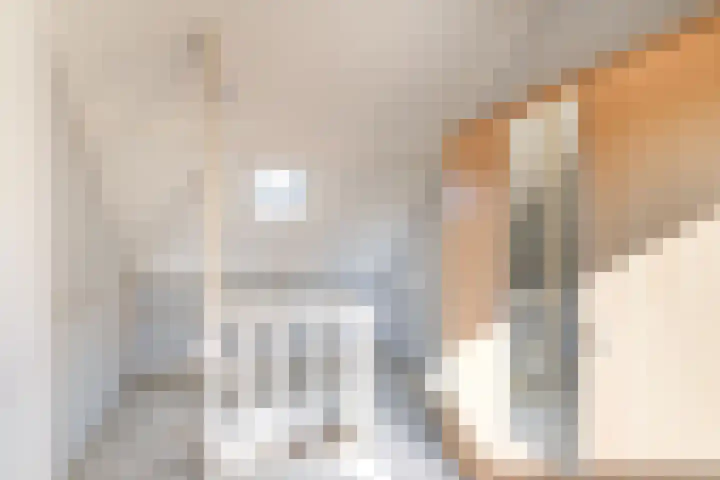 Hoogstraat 8 Tholen thumbnail 35