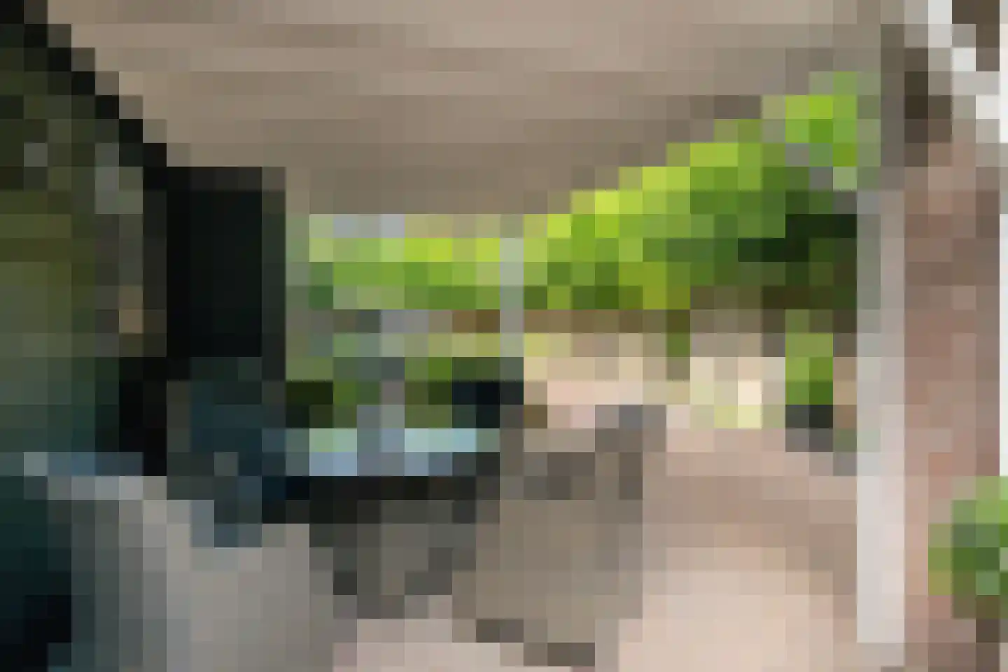 Hoogstraat 8 Tholen thumbnail 38