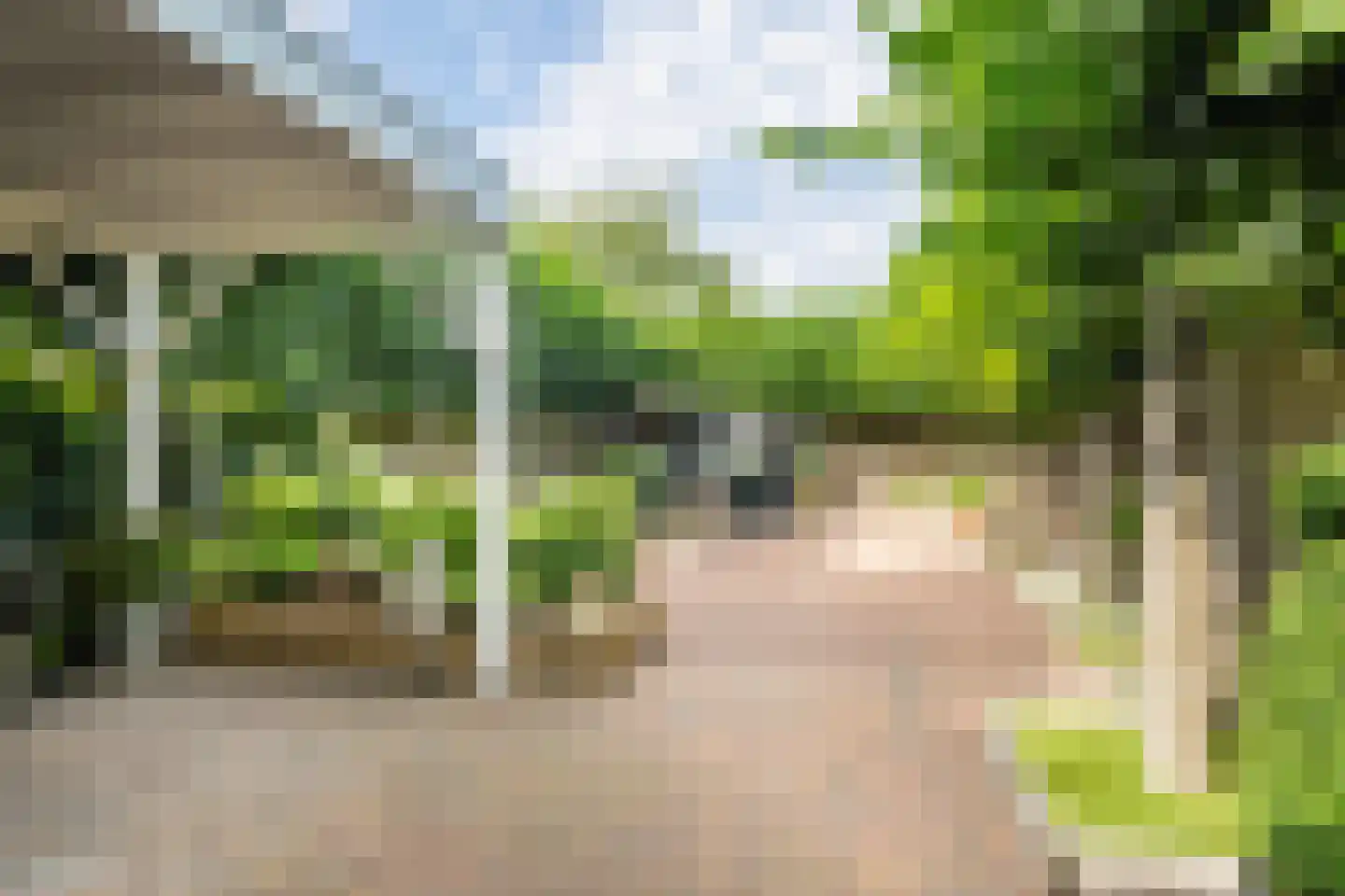Hoogstraat 8 Tholen thumbnail 39