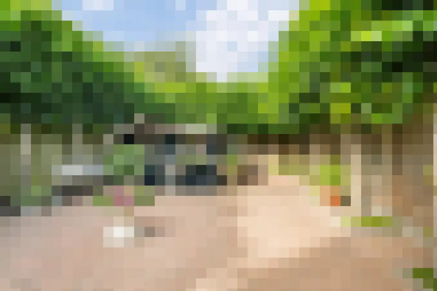 Hoogstraat 8 Tholen thumbnail 41