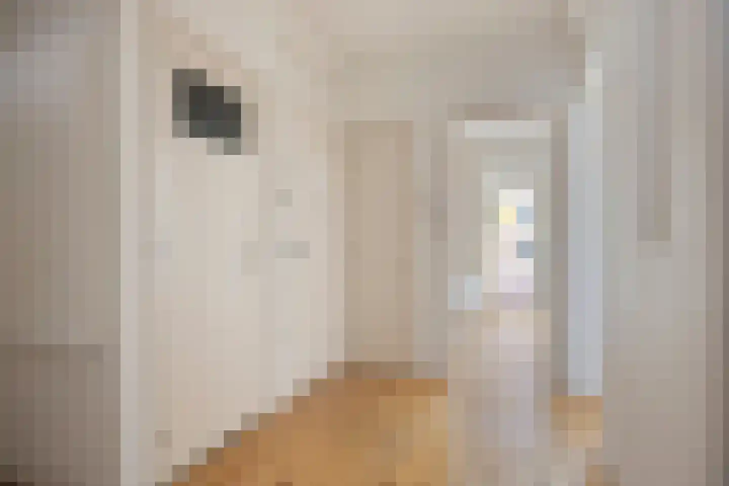 Hoogstraat 87 D Rotterdam thumbnail 7