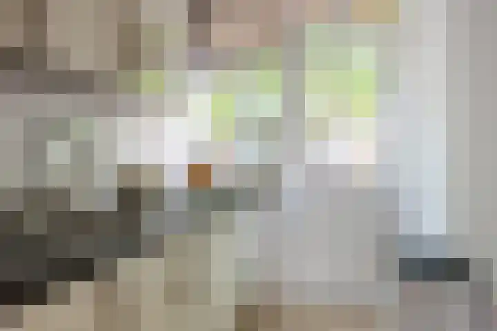 Hoogstraat 89 B Rotterdam thumbnail 13