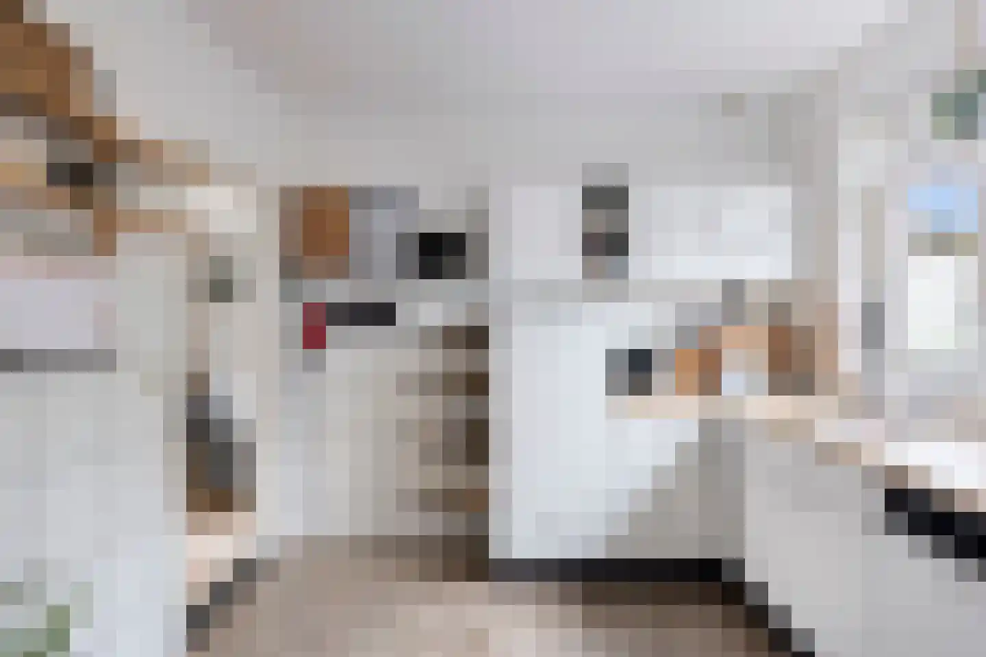 Hoogstraat 9 Deursen-Dennenburg thumbnail 20