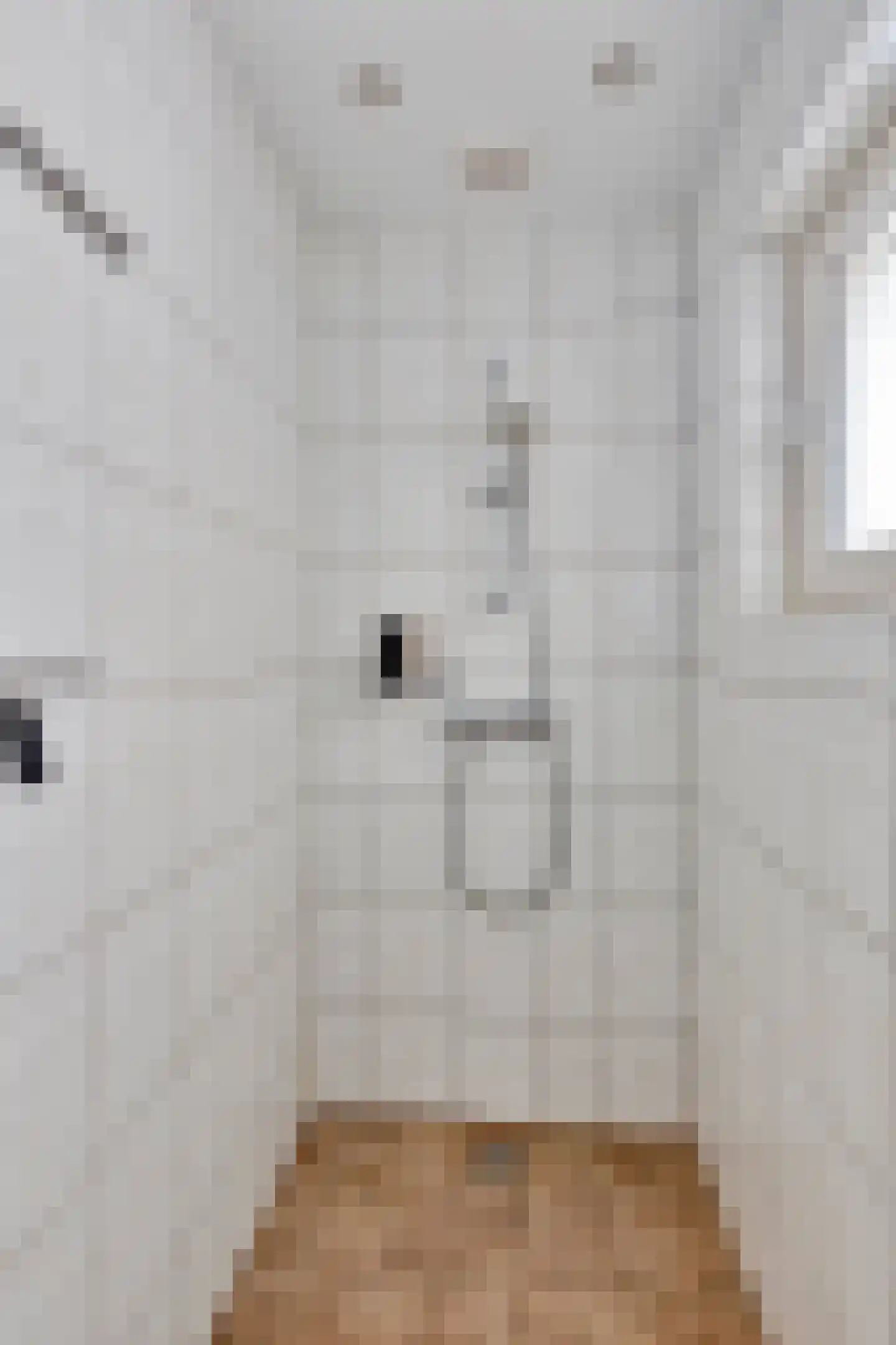 Hoogstraat 9 Deursen-Dennenburg thumbnail 23