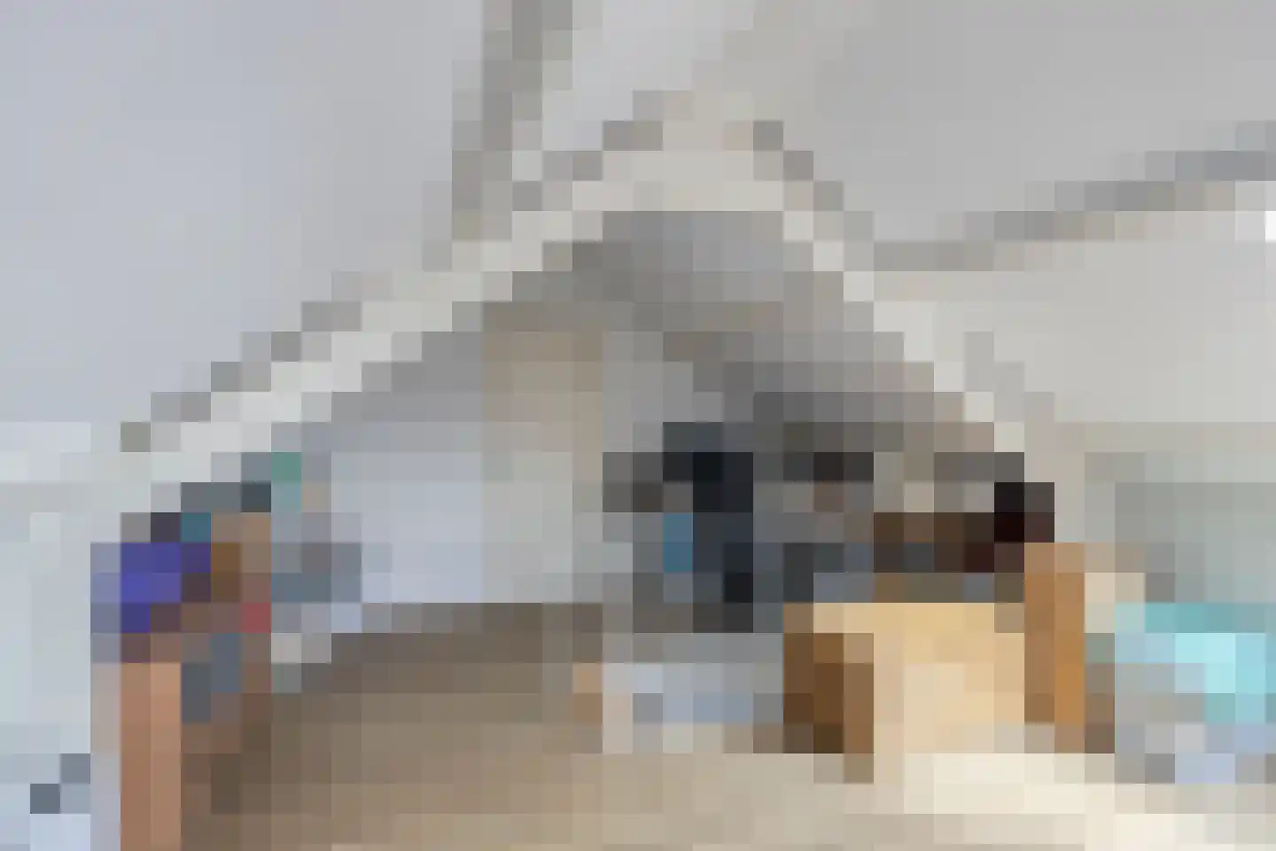 Hoogstraat 9 Deursen-Dennenburg thumbnail 33