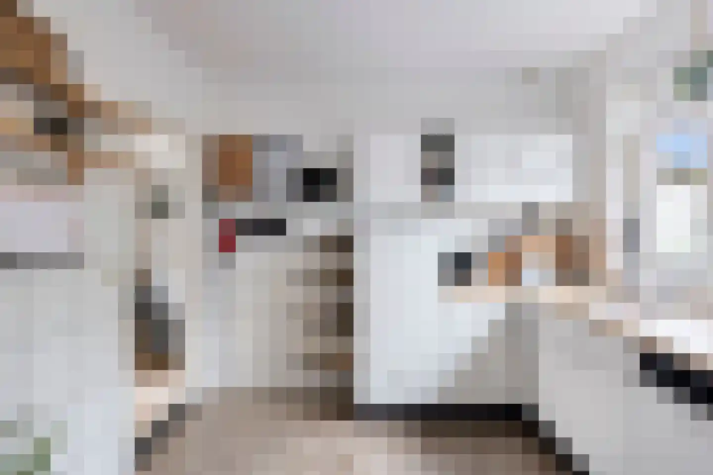 Hoogstraat 9 Deursen-Dennenburg thumbnail 4
