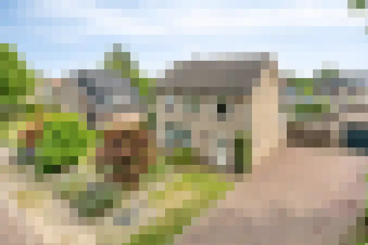 Hoogstraat 9 Deursen-Dennenburg thumbnail 9