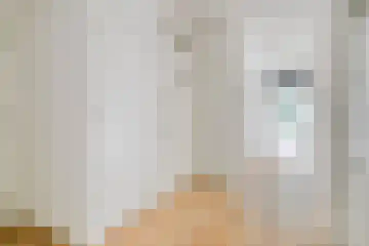 Hoogstraat 91 A Rotterdam thumbnail 8