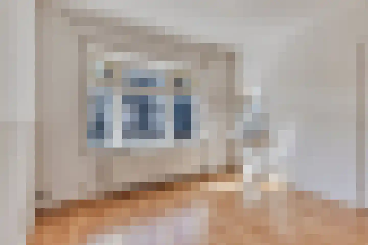 Hoogstraat 91 Eindhoven thumbnail 19