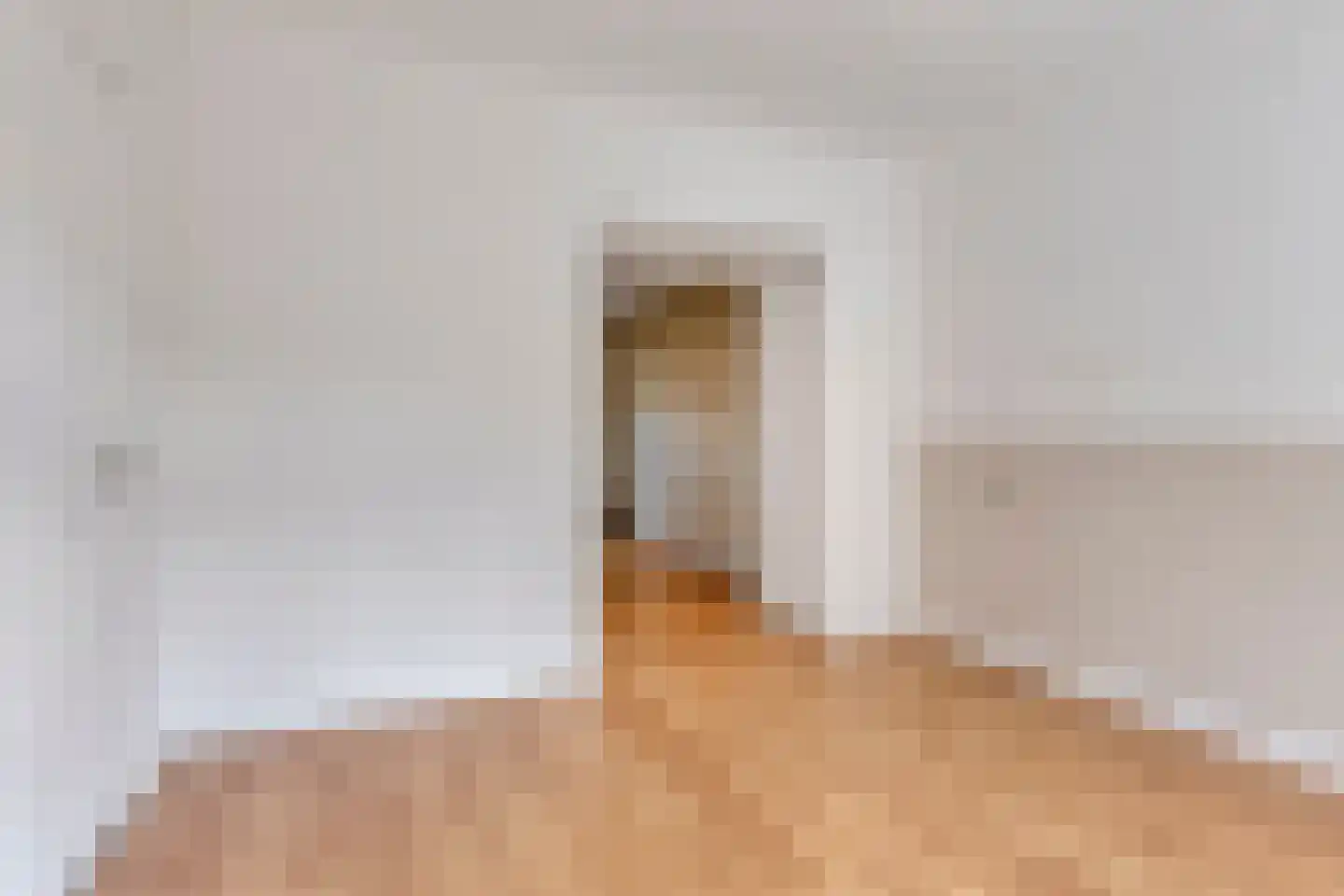 Hoogstraat 91 Eindhoven thumbnail 20