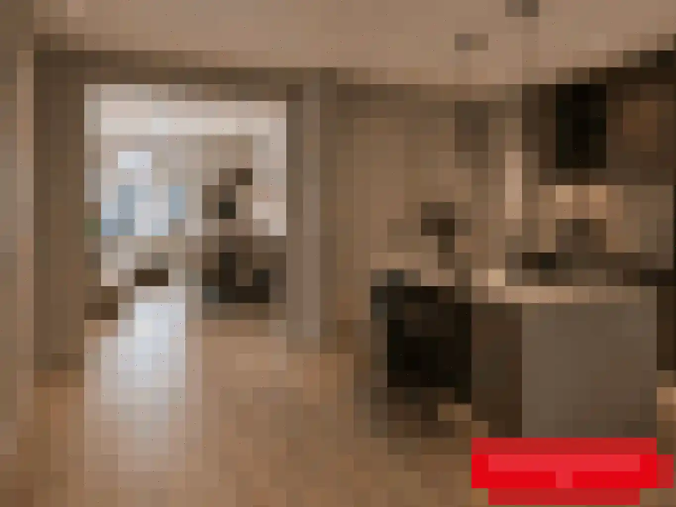Hoogstraat 91 Eindhoven thumbnail 8