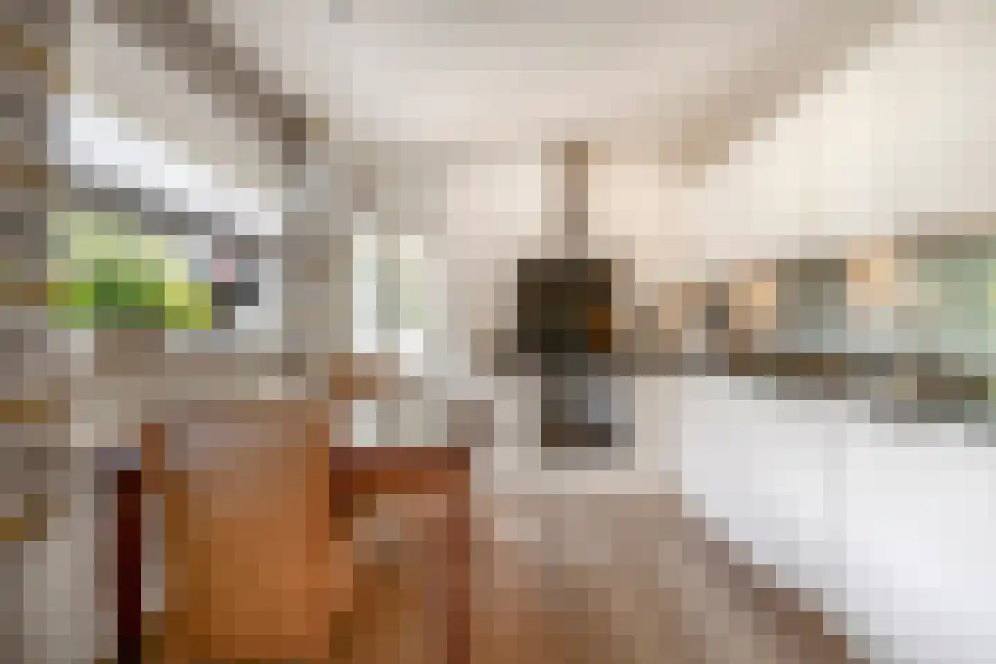 Hoogstraat 94 Tegelen thumbnail 6