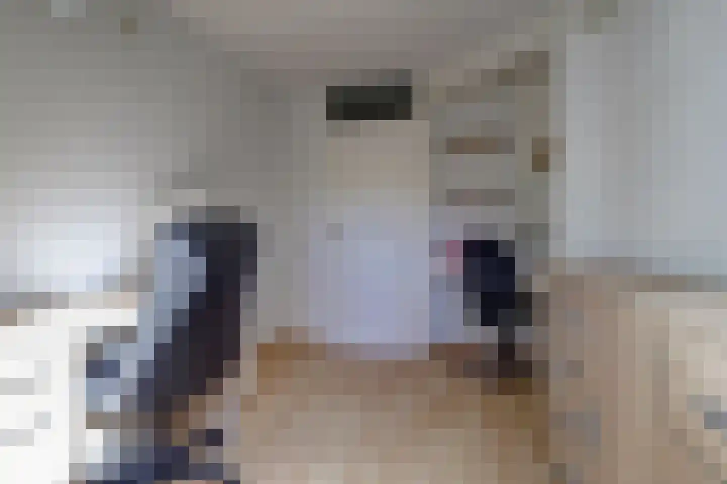 Hoogstraat 94 Wijk bij Duurstede thumbnail 17