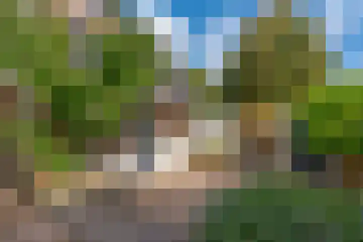 Hoogstraat 94 Zwolle thumbnail 4
