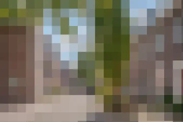 Hoogstraat 94 Zwolle thumbnail 6