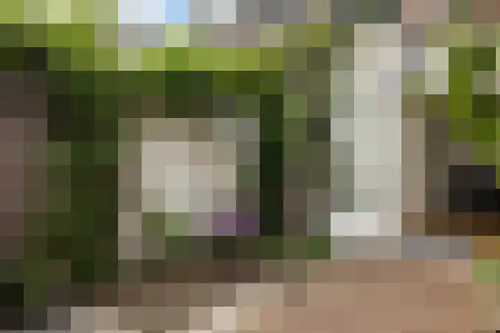 Hoogstraat 95 Utrecht thumbnail 10