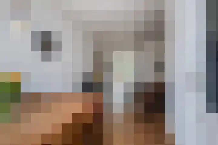 Hoogstraat 95 Utrecht thumbnail 12