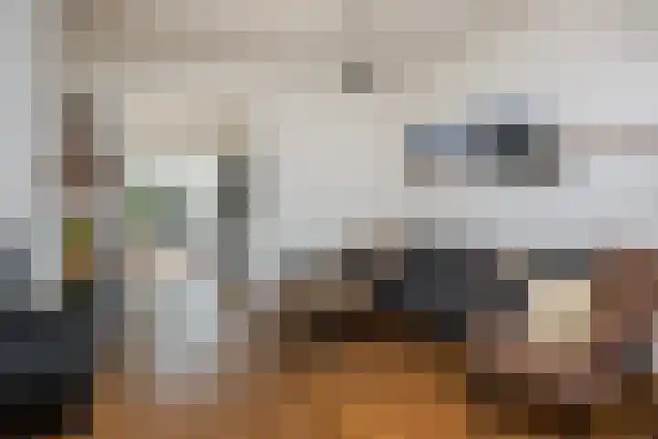 Hoogstraat 95 Utrecht thumbnail 14