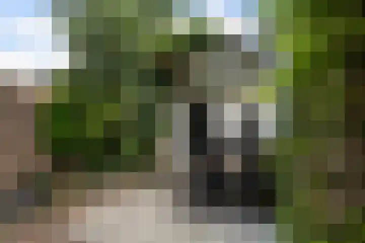 Hoogstraat 95 Utrecht thumbnail 35