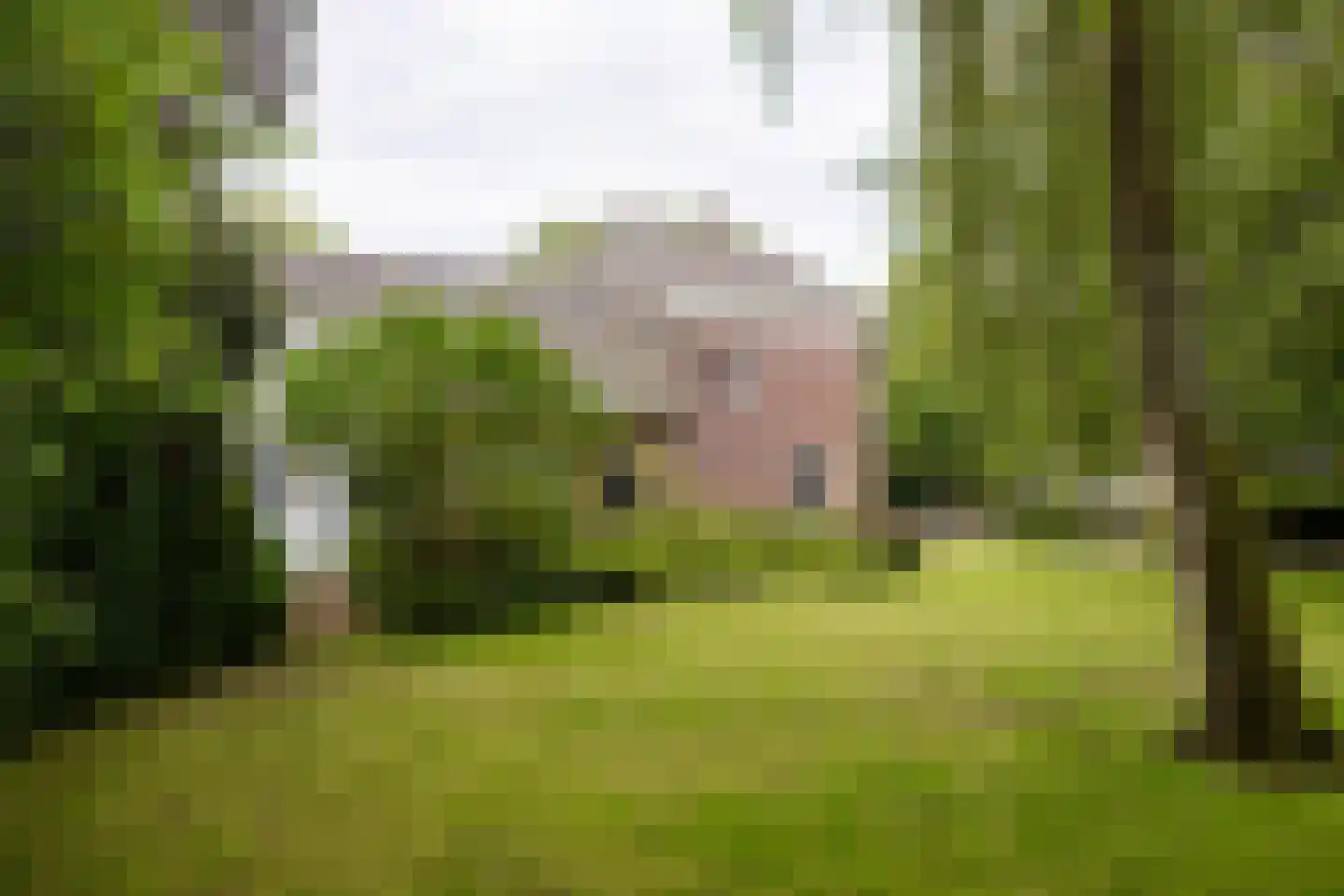 Hoogstraat 99 Berlicum thumbnail 25