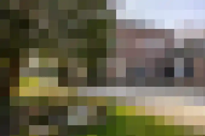 Hoogstraat 99 Berlicum thumbnail 31