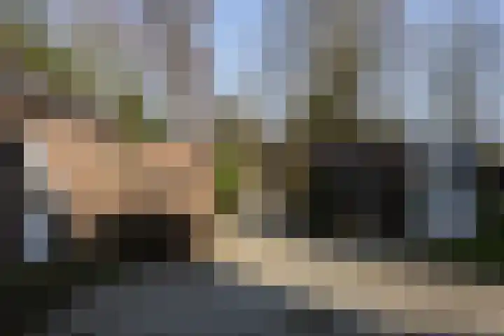 Hoogstraat 99 Berlicum thumbnail 32