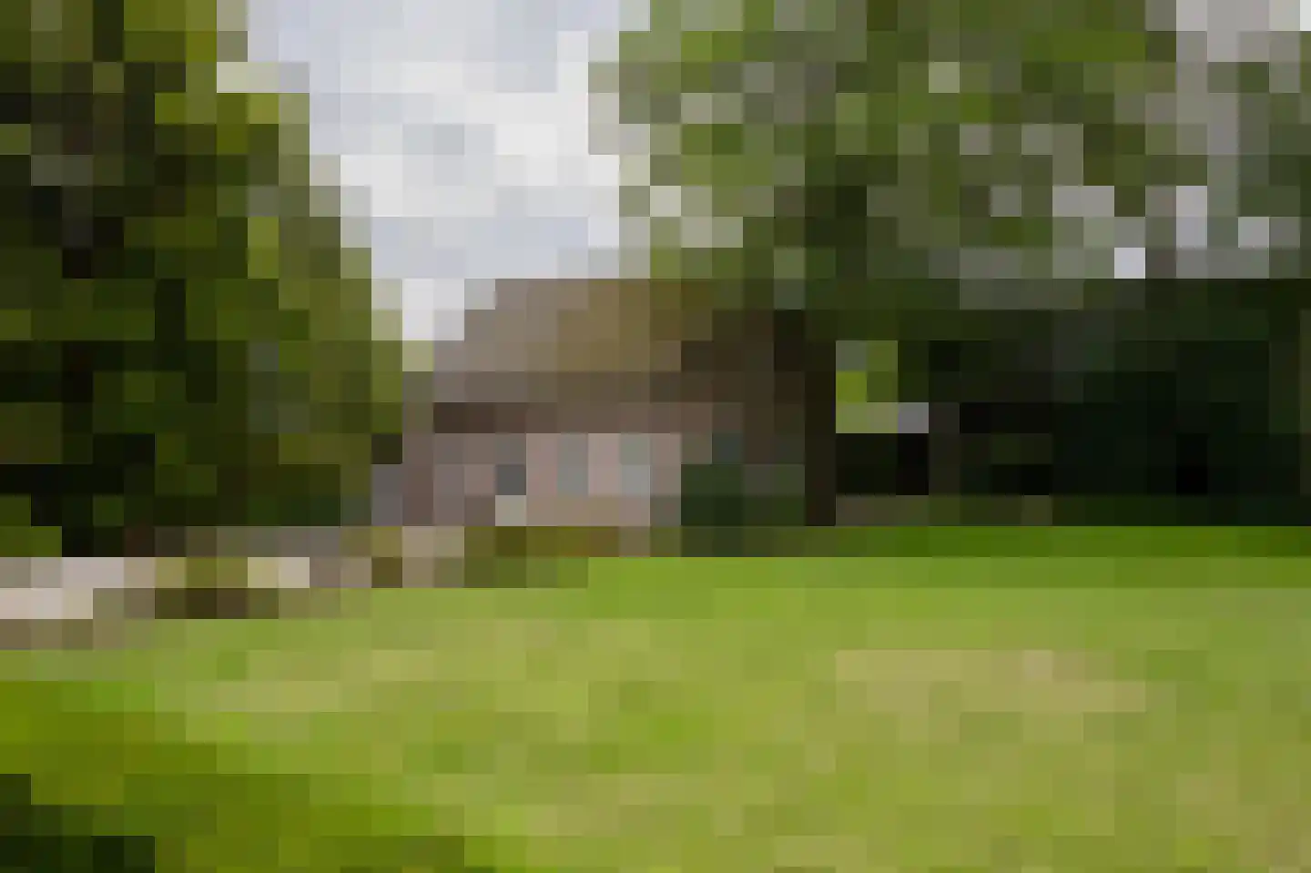 Hoogstraat 99 Berlicum thumbnail 34