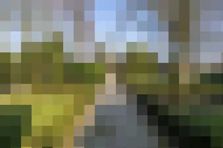 Hoogstraat 99 Berlicum thumbnail 34