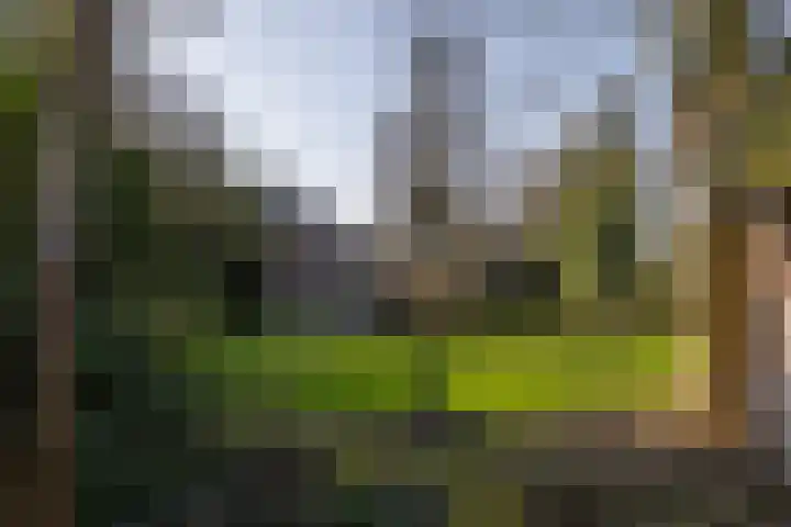 Hoogstraat 99 Berlicum thumbnail 35