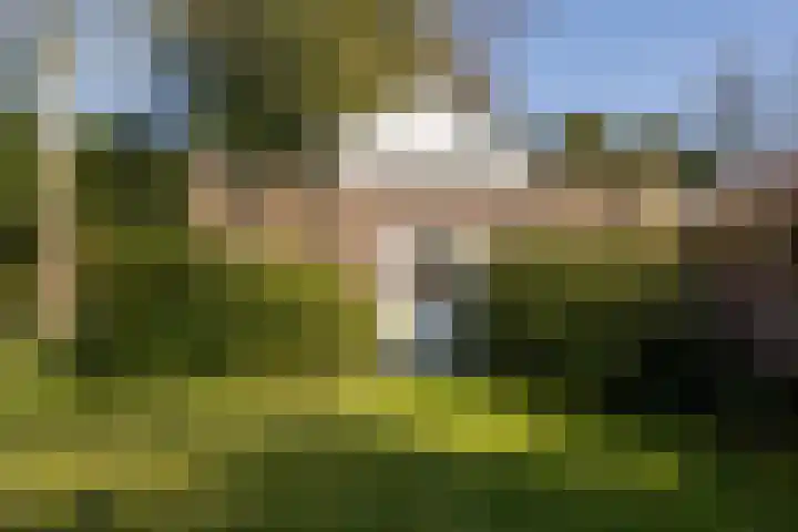 Hoogstraat 99 Berlicum thumbnail 37