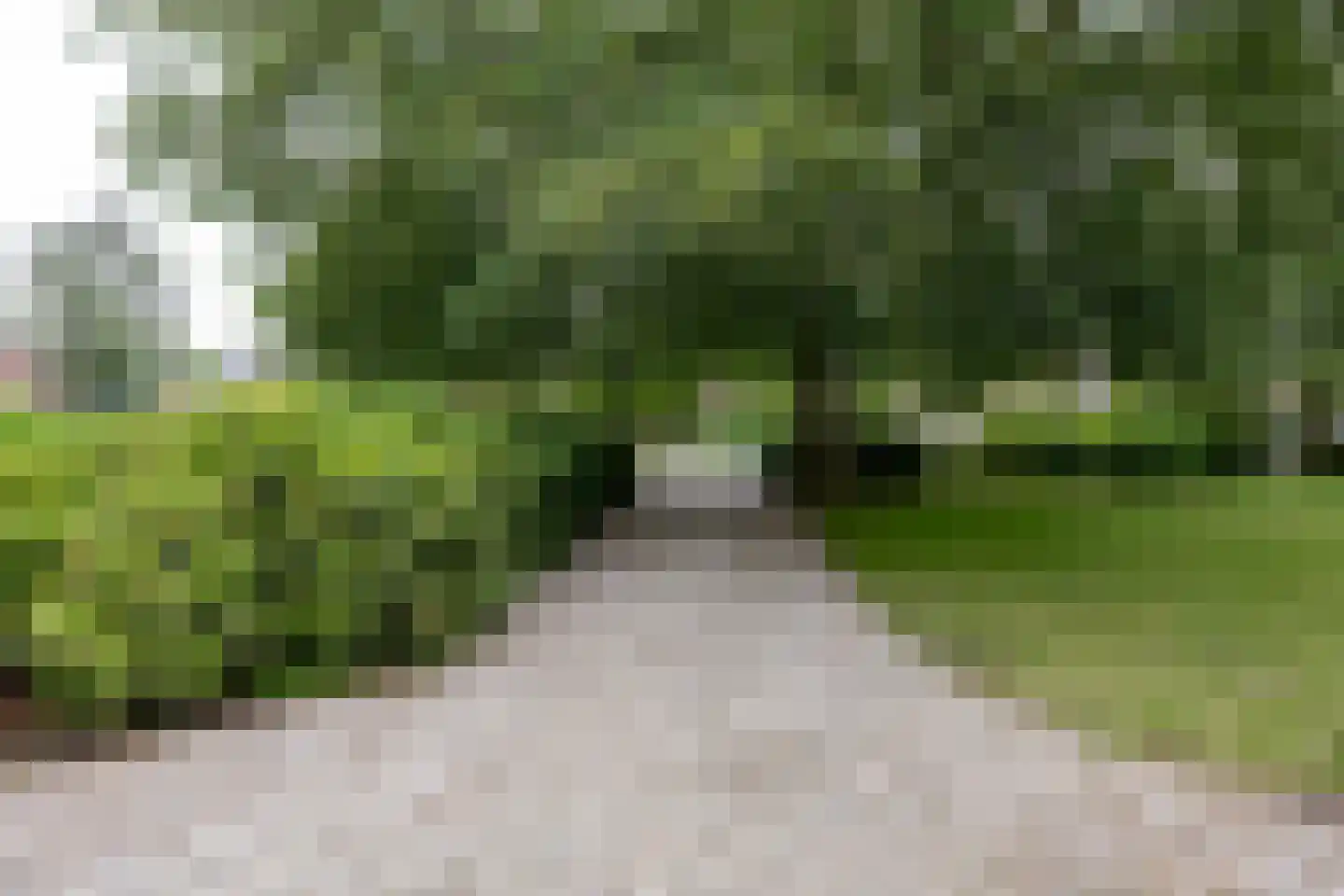 Hoogstraat 99 Berlicum thumbnail 37