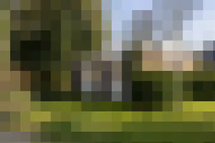 Hoogstraat 99 Berlicum thumbnail 38