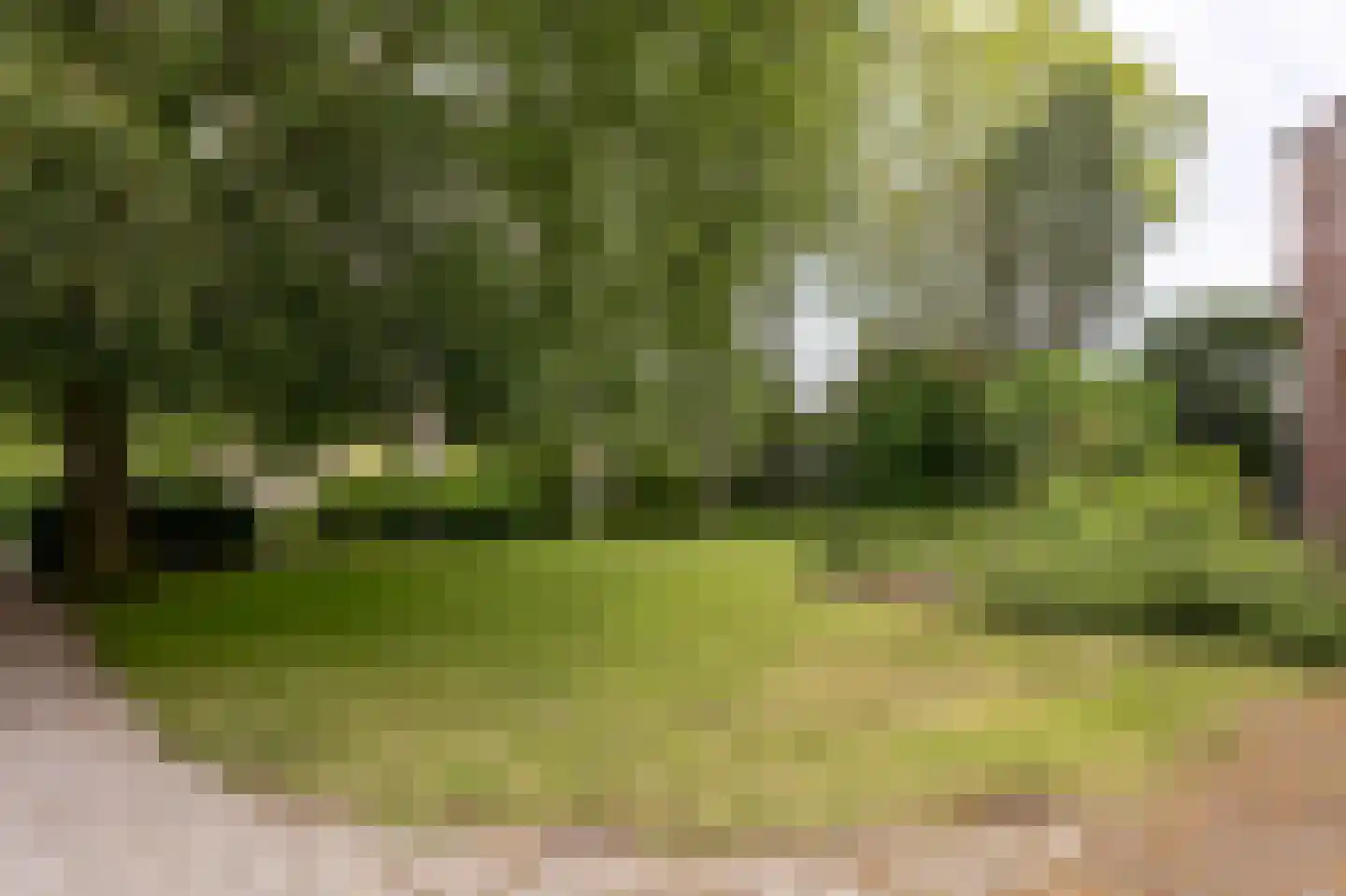 Hoogstraat 99 Berlicum thumbnail 38