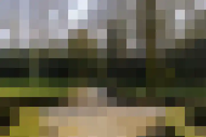 Hoogstraat 99 Berlicum thumbnail 4