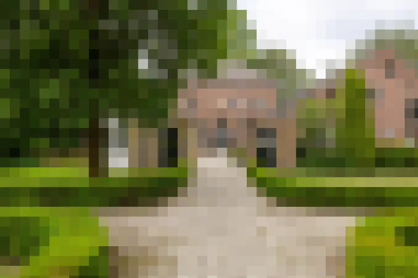 Hoogstraat 99 Berlicum thumbnail 4