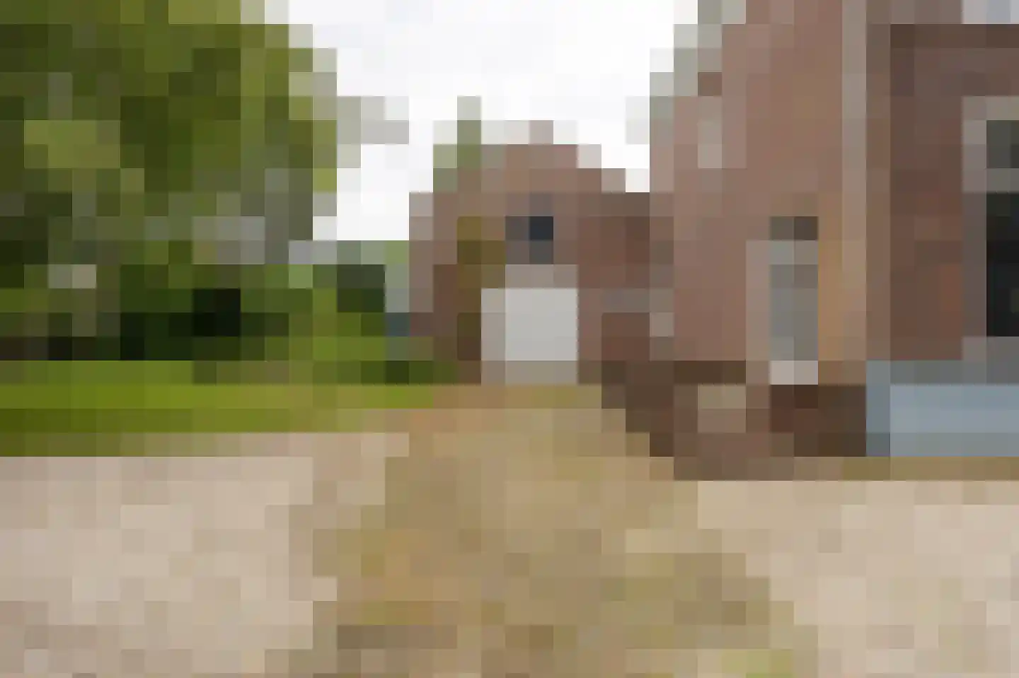 Hoogstraat 99 Berlicum thumbnail 40
