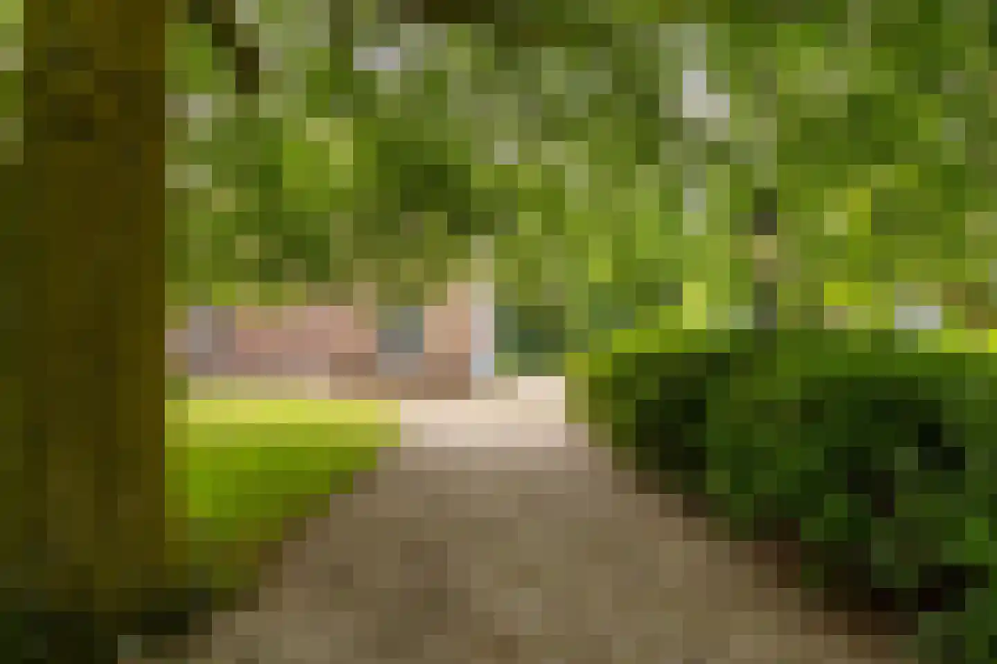 Hoogstraat 99 Berlicum thumbnail 41