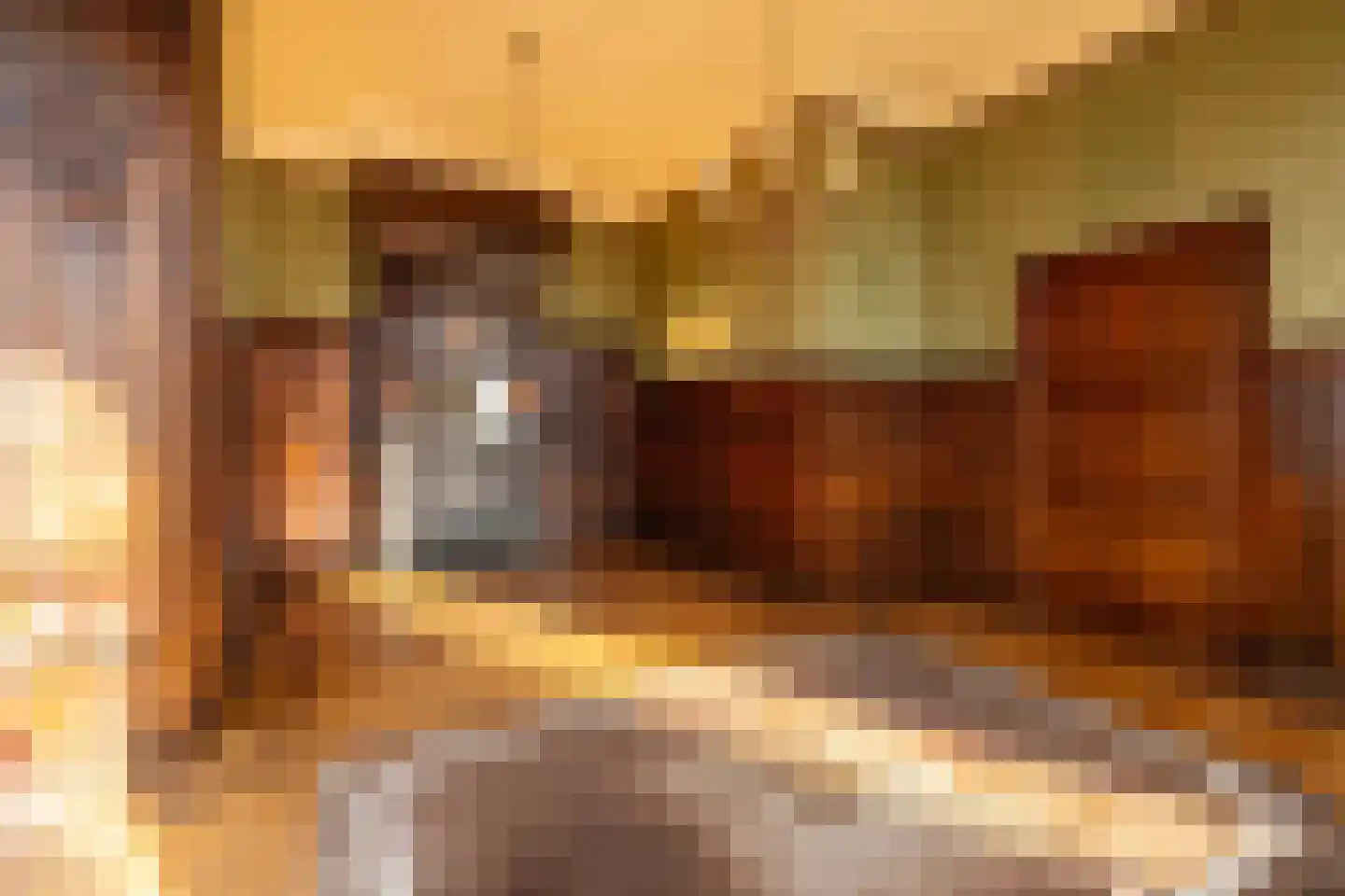 Hoogstraat 99 Berlicum thumbnail 8