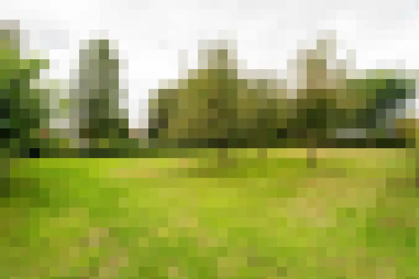 Hoogstraten 11 6 Gerkesklooster thumbnail 49