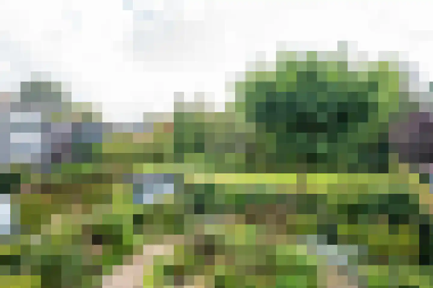 Hoogstraten 11 6 Gerkesklooster thumbnail 9