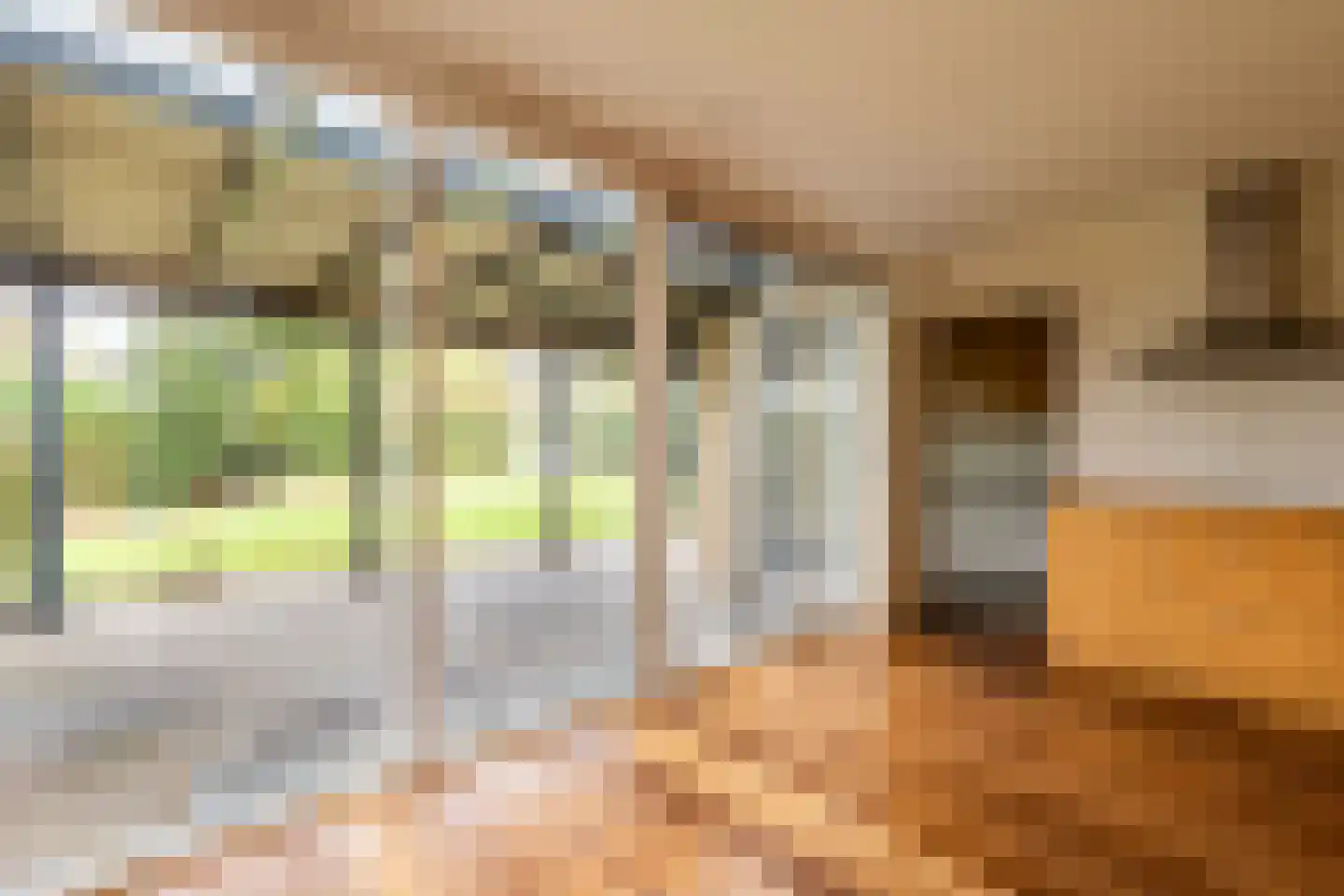 Hoogstraten 19 Gerkesklooster thumbnail 9