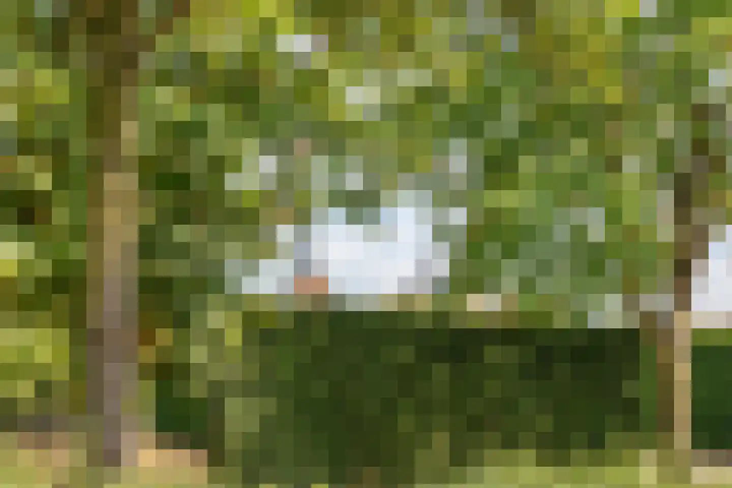 Hoogstraten 22 Gerkesklooster thumbnail 62