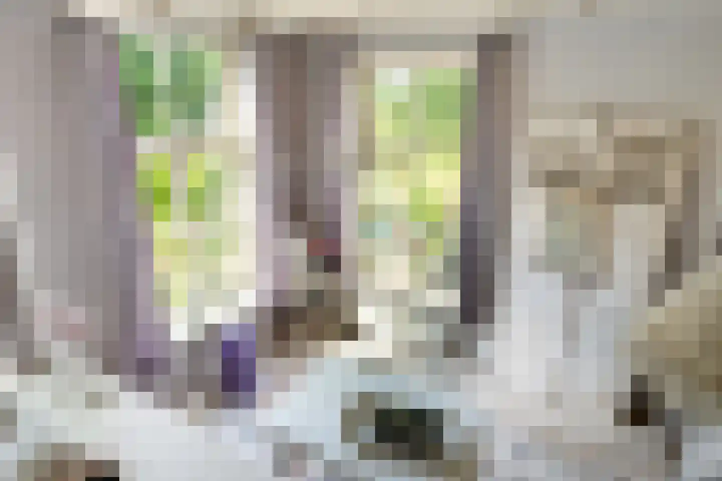 Hoogstraten 4 Gerkesklooster thumbnail 27