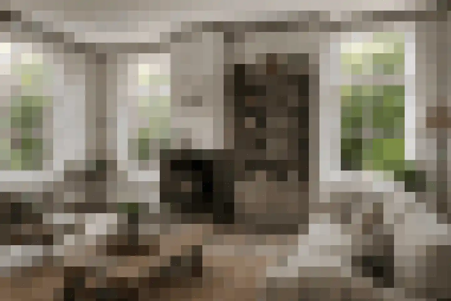 Hoogstraten 4 Gerkesklooster thumbnail 30