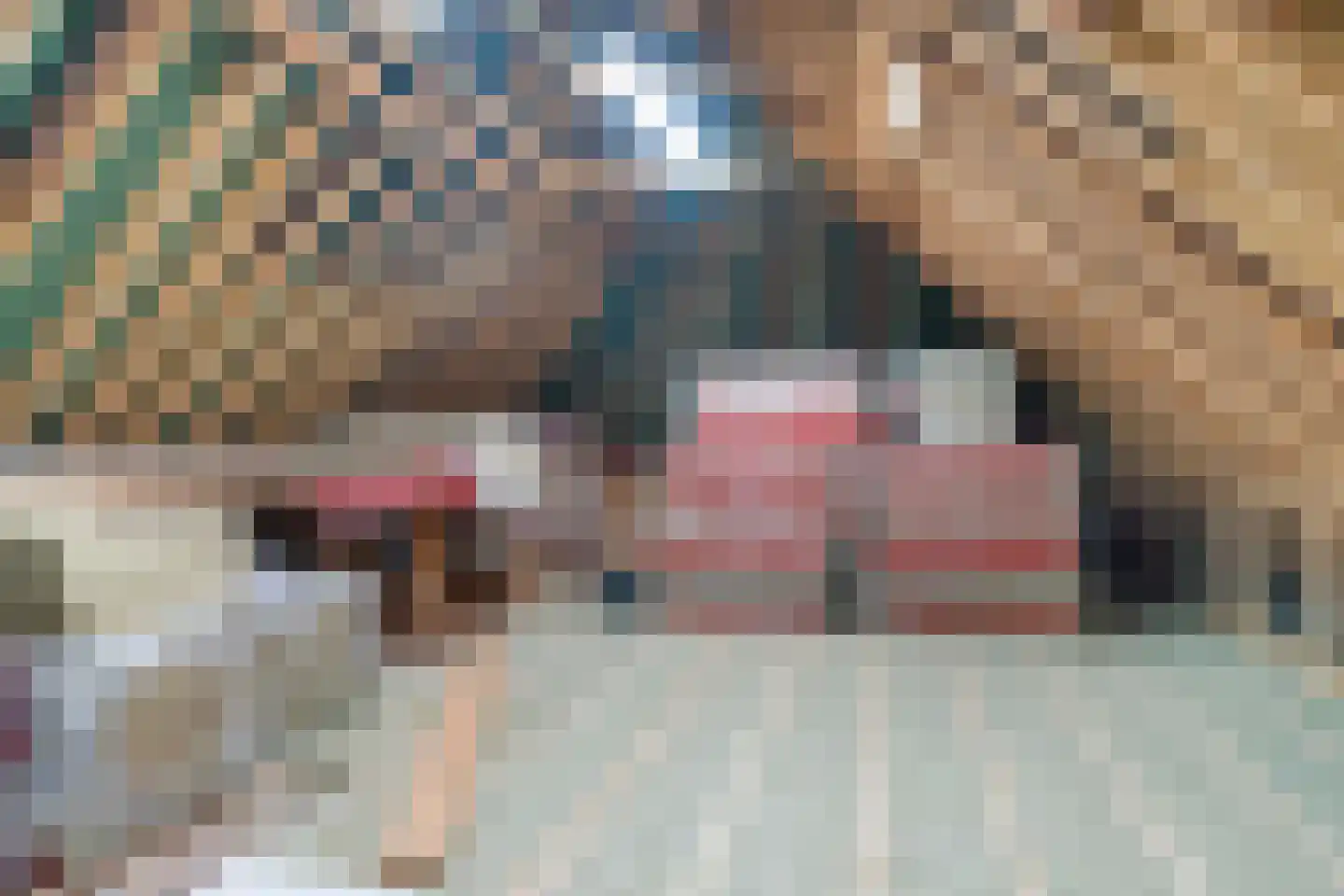 Hoogstraten 4 Gerkesklooster thumbnail 43