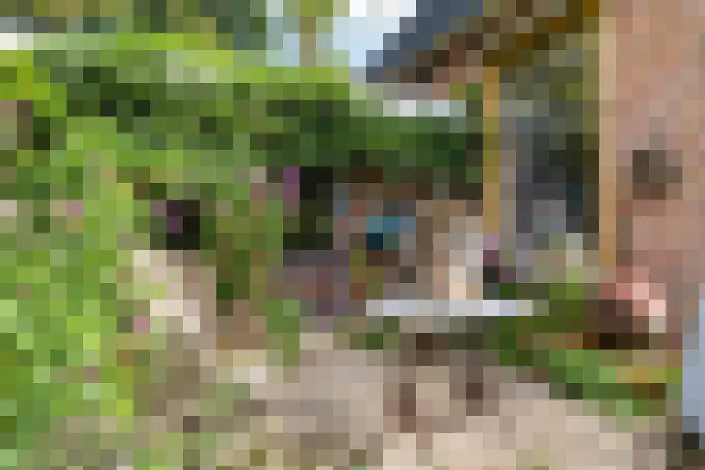 Hoogstraten 4 Gerkesklooster thumbnail 49