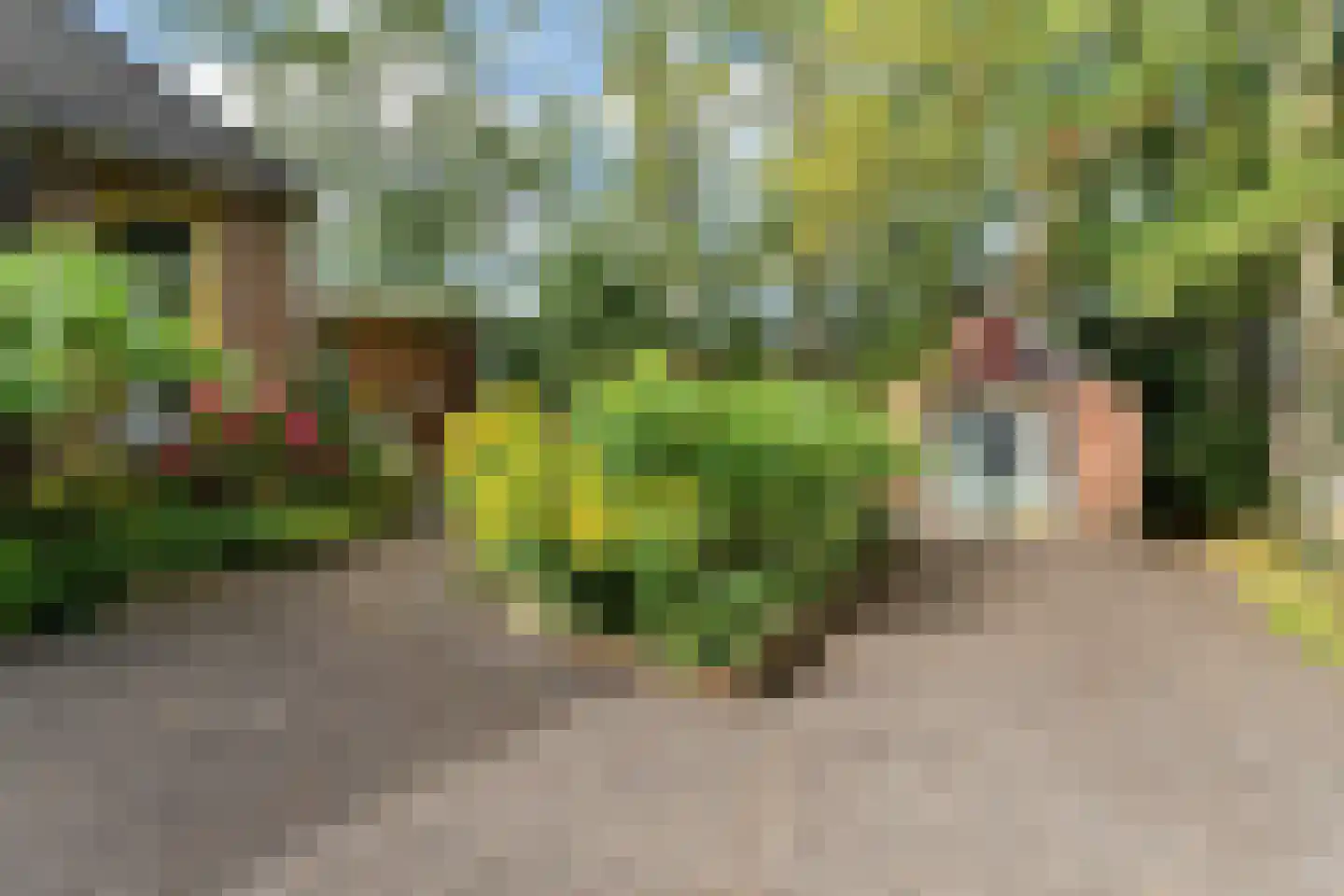 Hoogstraten 4 Gerkesklooster thumbnail 5
