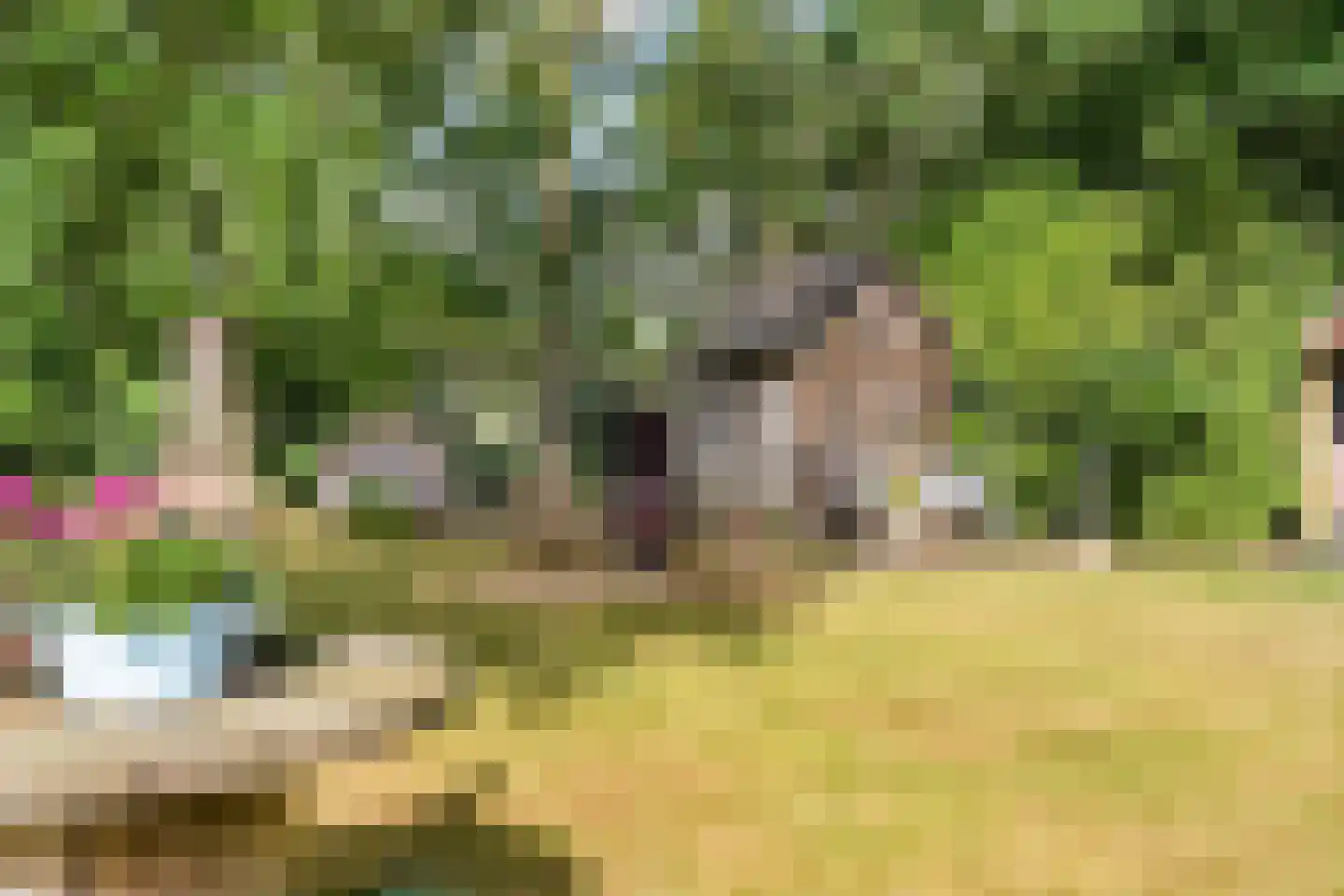 Hoogstraten 4 Gerkesklooster thumbnail 53