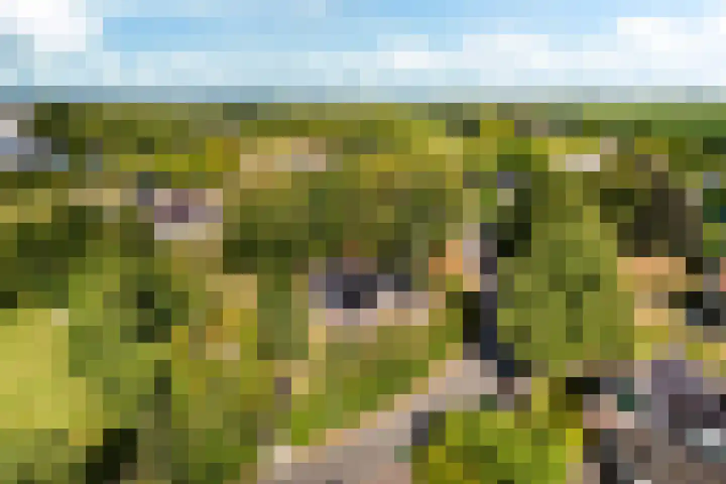 Hoogstraten 4 Gerkesklooster thumbnail 63