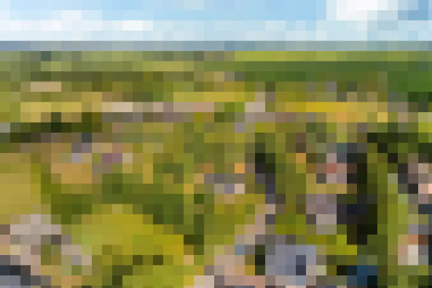 Hoogstraten 4 Gerkesklooster thumbnail 64